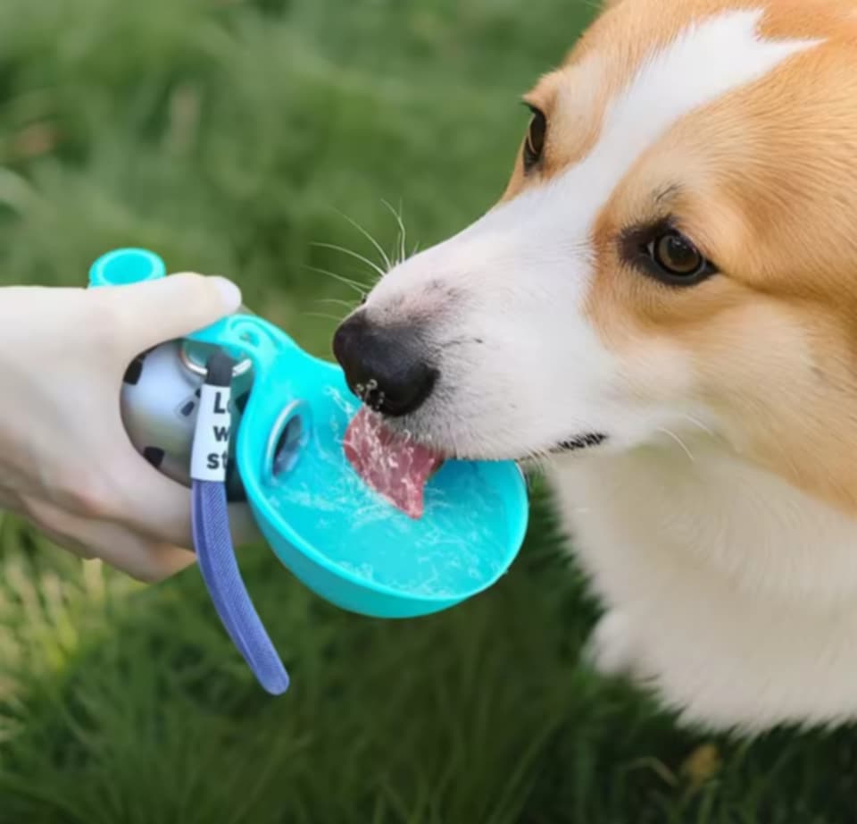 bebedero portatil plegable para mascotas  silicona premiun